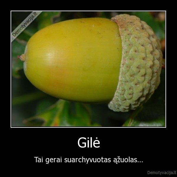 Gilė