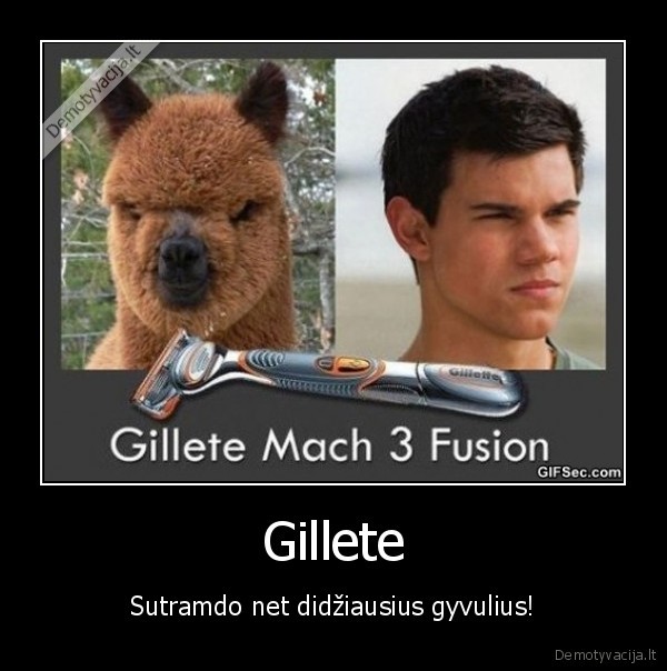 Gillete