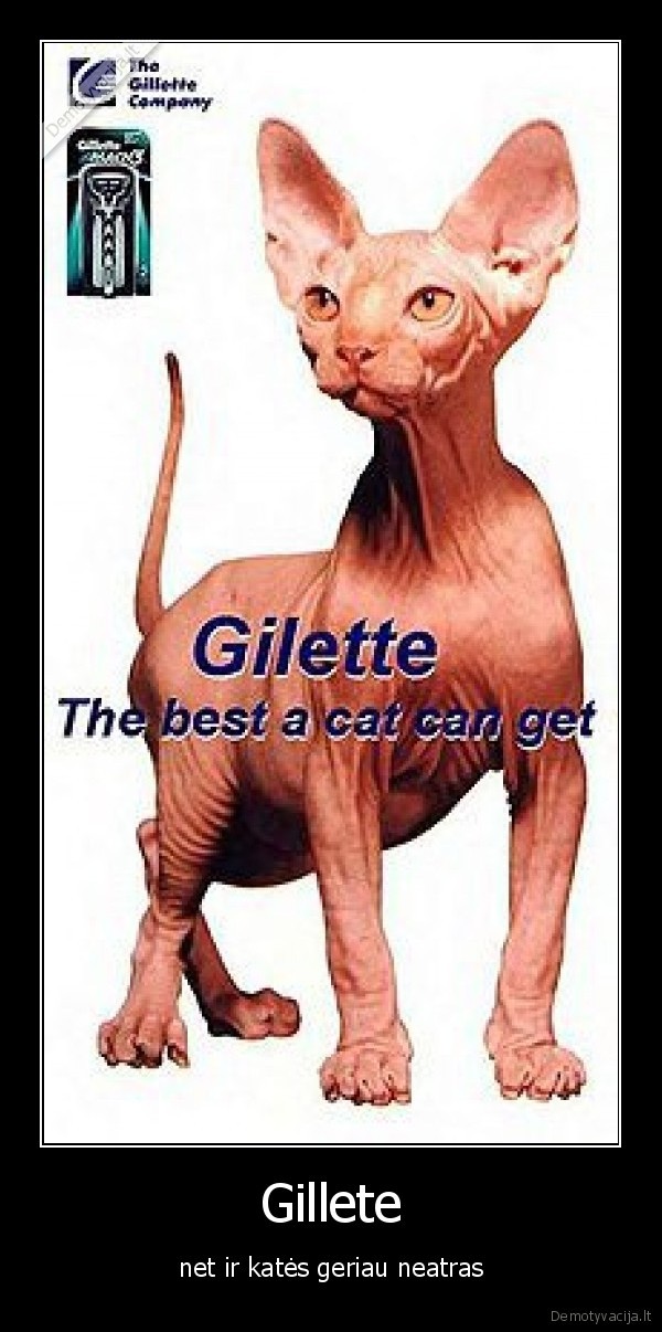 Gillete