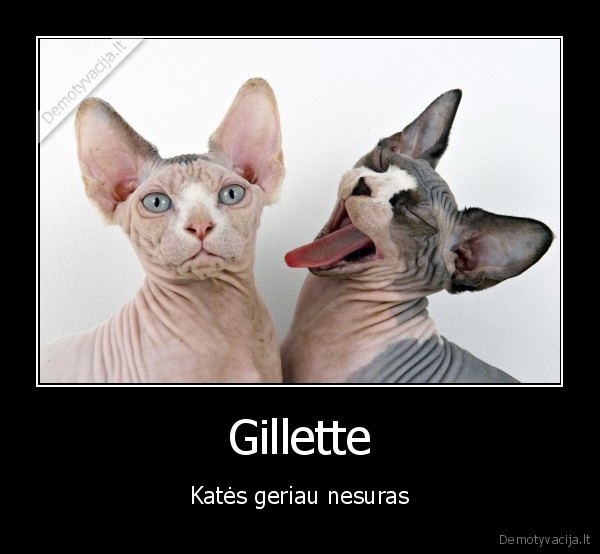 Gillette
