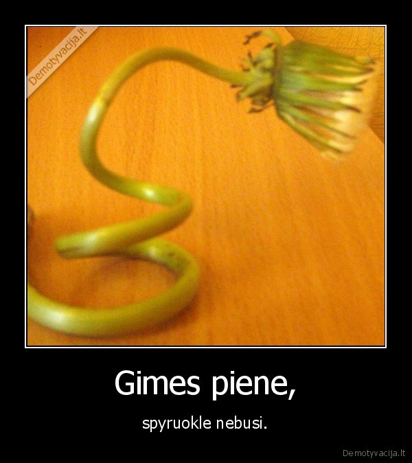 gimes, piene, spyroukle, nebusi