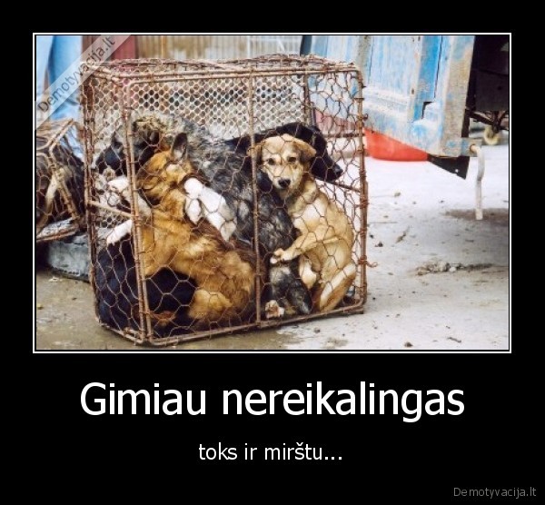 Gimiau nereikalingas