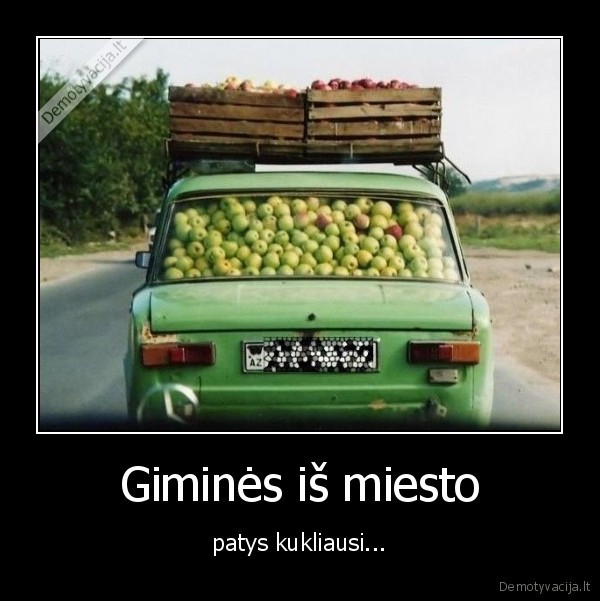 Giminės iš miesto