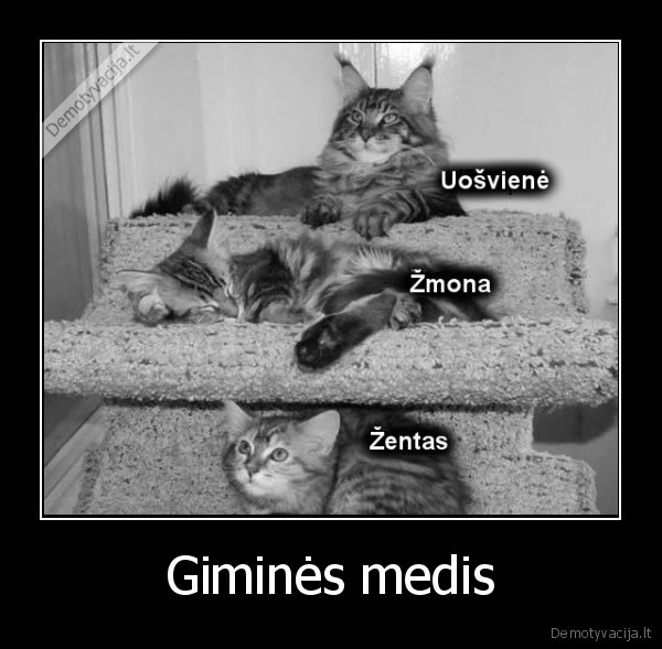 Giminės medis