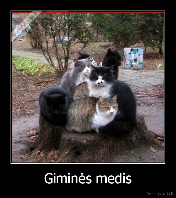 Giminės medis