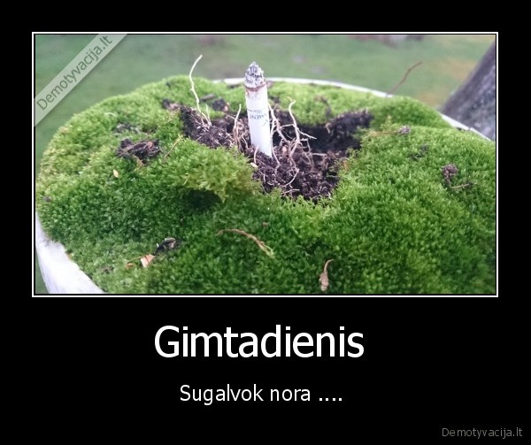 Gimtadienis 