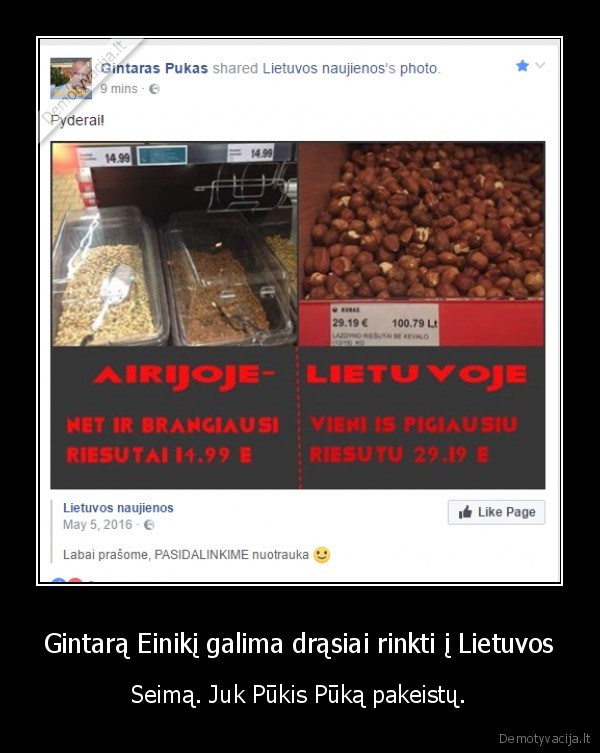 einikis,seimas,gintaras,pukas,pukis