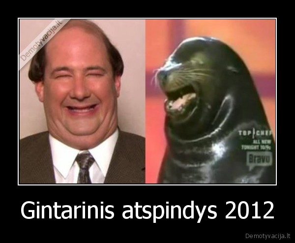 seimas, gintarinis, atspindys, 2012, kubilius, ruonis