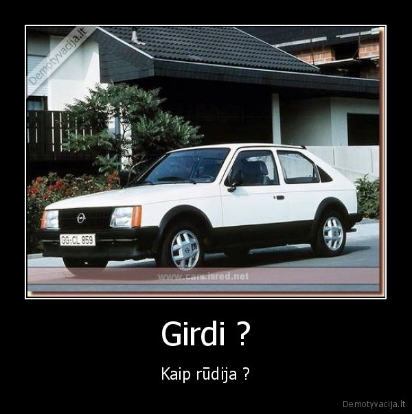 opel,mentai,chebra,girdit,rudija