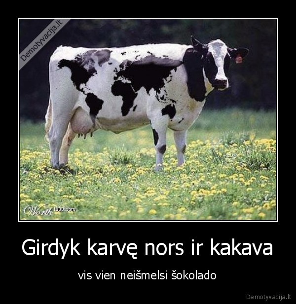 kakava,karve,soklodas
