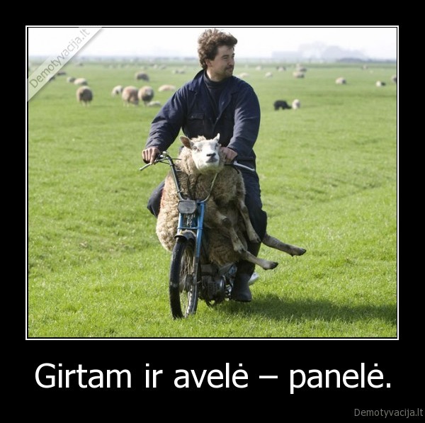 avele,girtam,panele