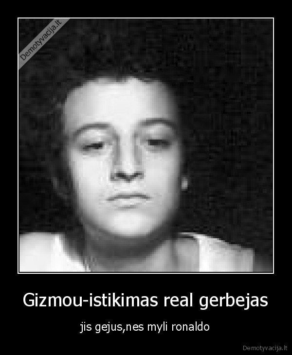 Gizmou-istikimas real gerbejas