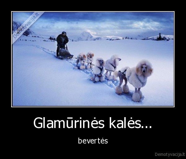 glamurines,glamurines, kales,bevertes