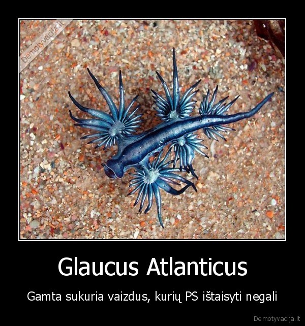 ok, ok, gali,bet, visgi,idomu, ka, gamta, sukuria
