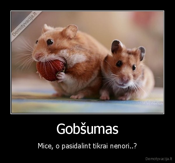 Gobšumas