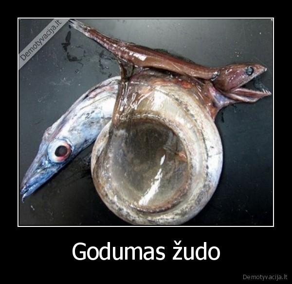 Godumas žudo