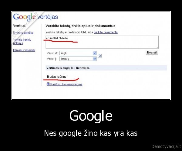 cheese, google, suris, suris, g.w.bush, prezidentas, amerika, jav, juokinga, politika, usa