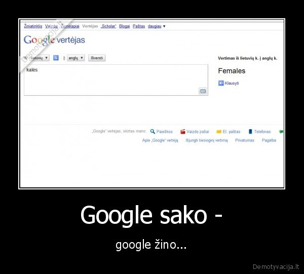 net,google,translator,myli,kubiliu