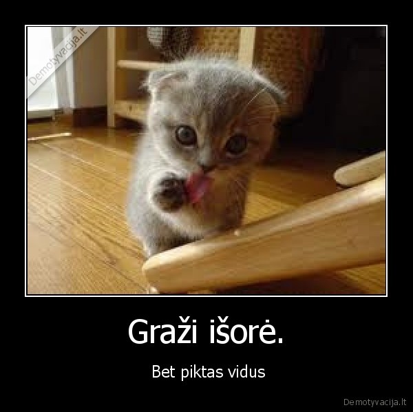 Graži išorė.