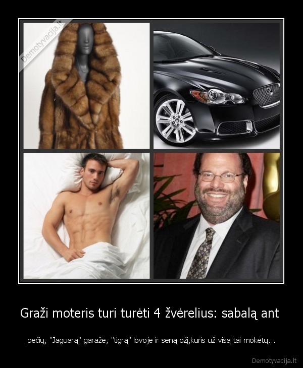jaguaras, tigras, sabalas, ozys