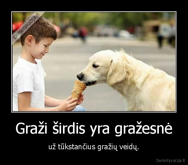 sirdis,veidai