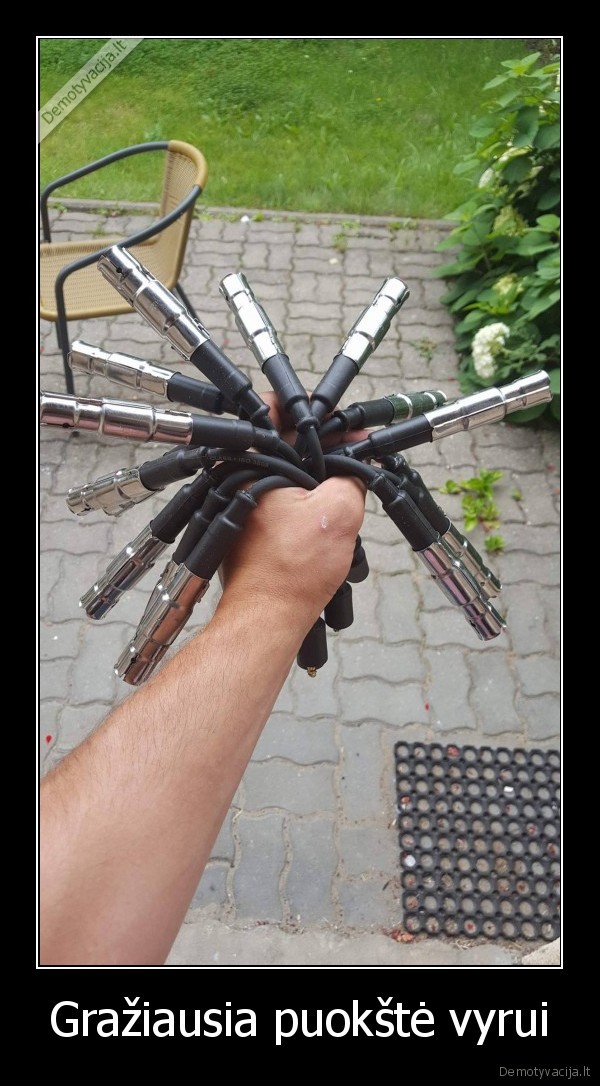 auto,zvakes,vyrai