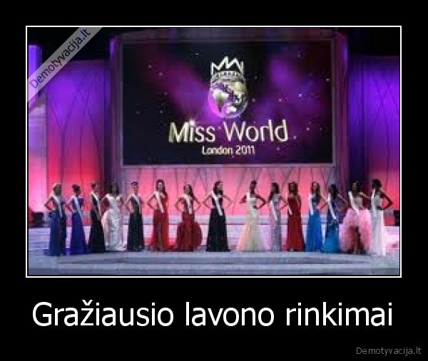 Gražiausio lavono rinkimai