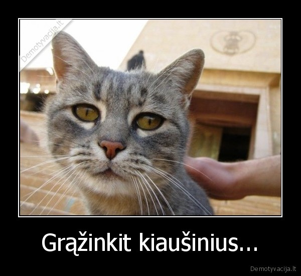 Grąžinkit kiaušinius...