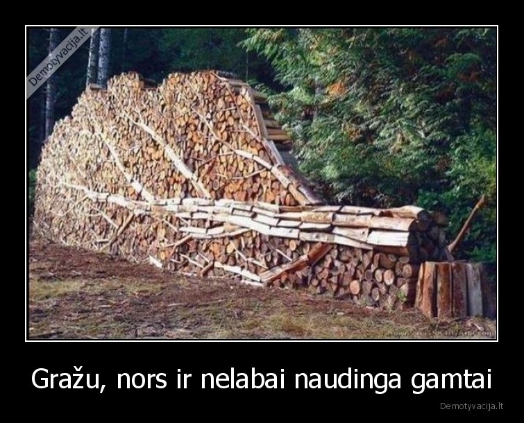 grazu,medis,malkos