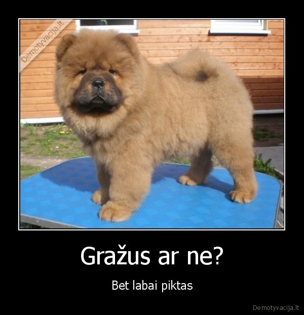 suniukas