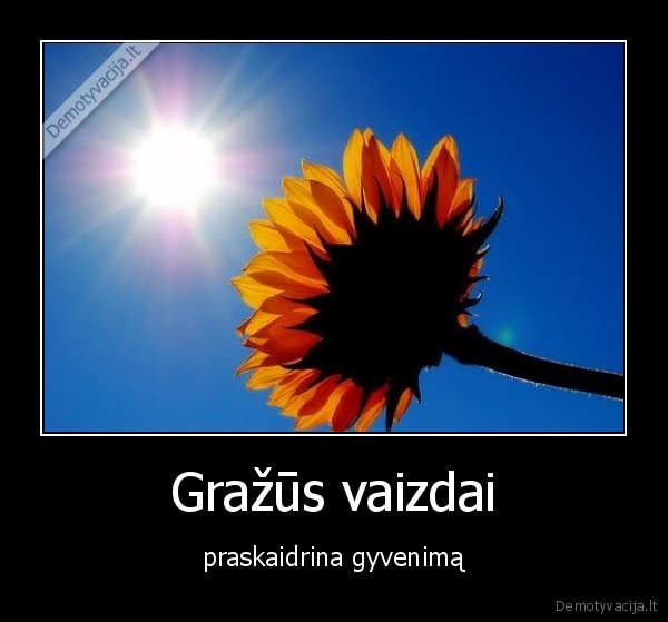 Gražūs vaizdai