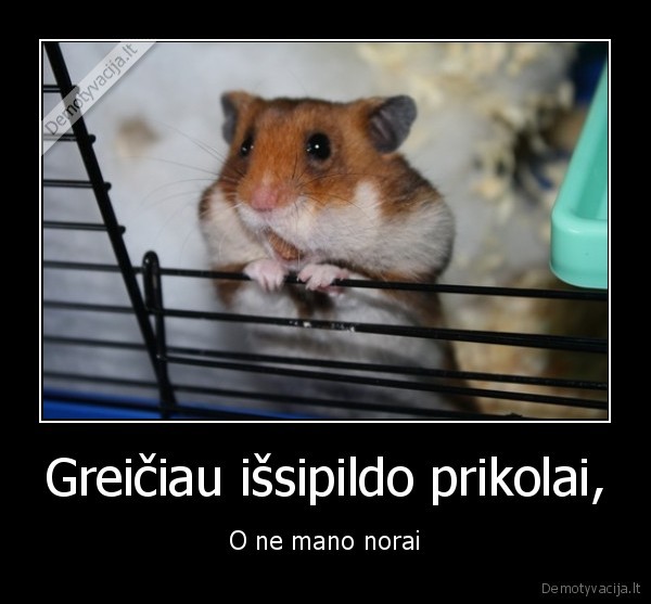 naujos, demo,karma,prikolai,dabartis,norai,prikolai,issipildymas