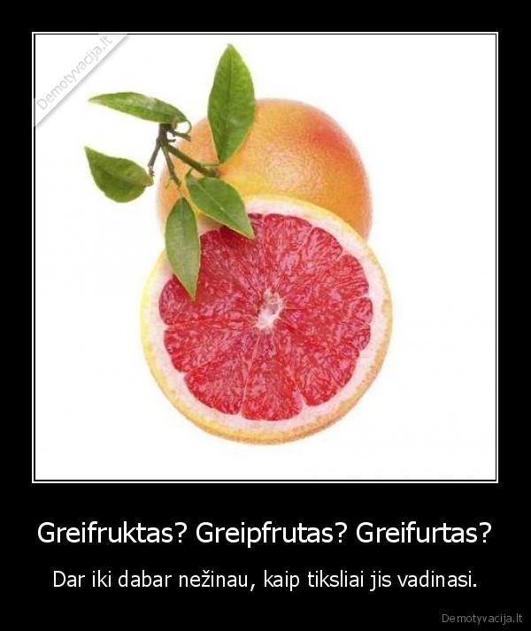 asile,atsakyk, nesinaudodamas, google
