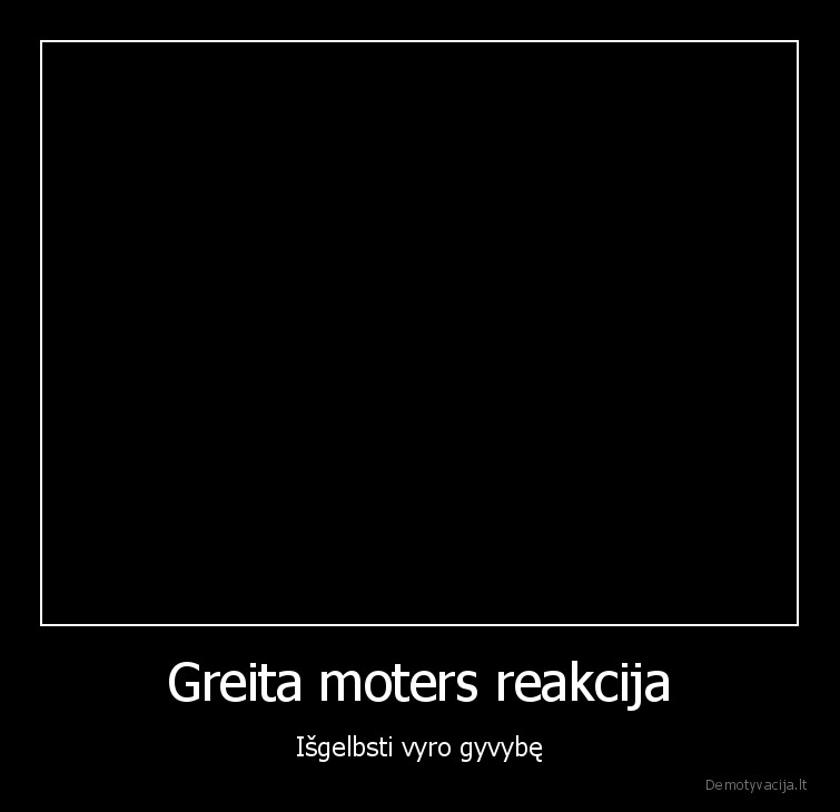 savizudis