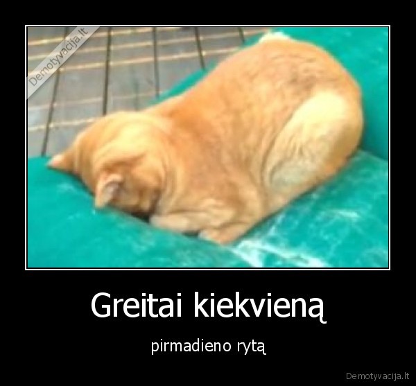 Greitai kiekvieną