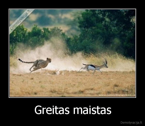 Greitas maistas