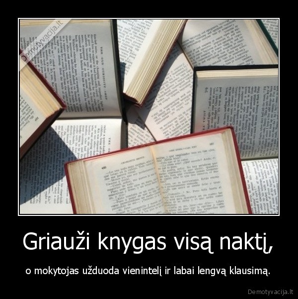 Griauži knygas visą naktį,