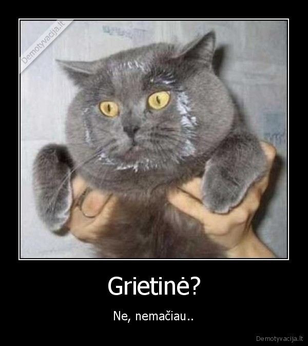 Grietinė?
