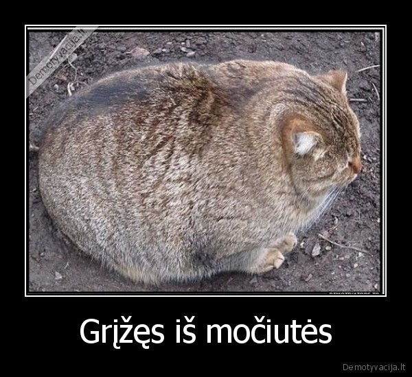 Grįžęs iš močiutės