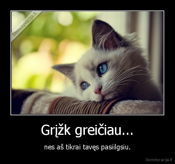 Grįžk greičiau...