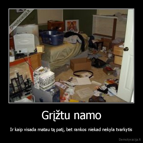 betvarke,gsb,taggo