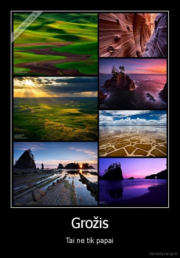 photographs, by, zack, schnepf