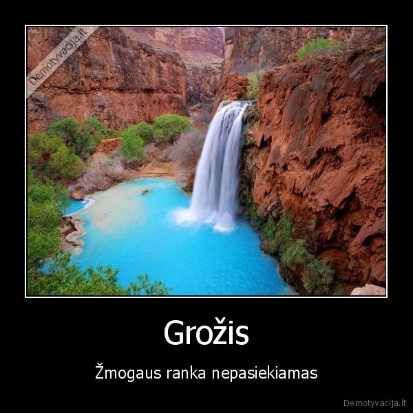 gamta