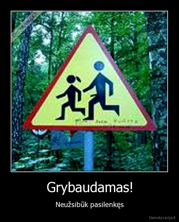 Grybaudamas!