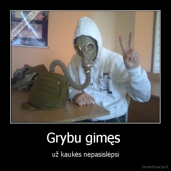 Grybu gimęs 