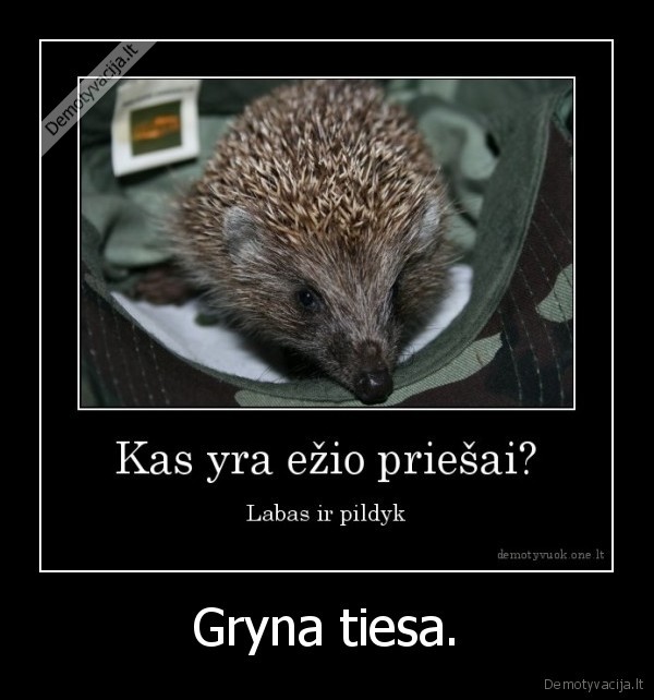 ezys,pildyk, ir, labas, priesas