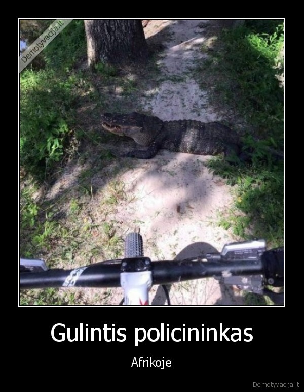 afrika,krokodilas,policininkas
