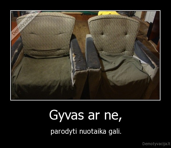 fotelis
