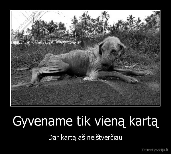suo,badas,gyvenimas,tikrove