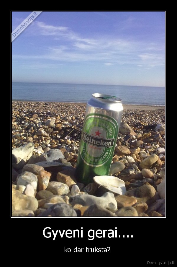 alus,laisvalaikis